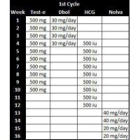 1st Cycle