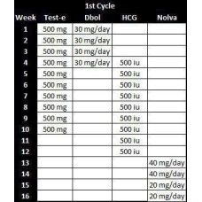 1st Cycle
