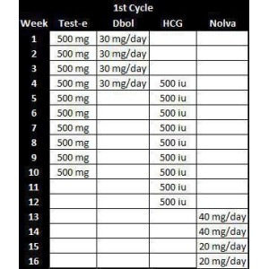 1st Cycle