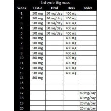 3rd Cycle No2