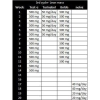 3rd cycle No3