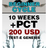 Beginner cycle