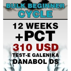 Bulk Cycle for Beginners
