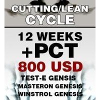 Cutting/Lean mass cycle no. 1