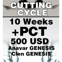 Cutting/Lean mass cycle no. 2