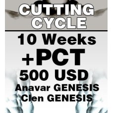 Cutting/Lean mass cycle no. 2