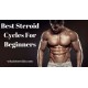STEROID CYCLES
