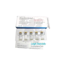 Deca-Durabolin Holland (1 amp)