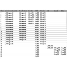 EXPERT CYCLE (22 WEEKS)