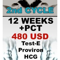Your Second Cycle