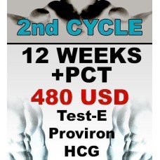 Your Second Cycle
