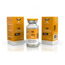 Txt 400 - XtLabs