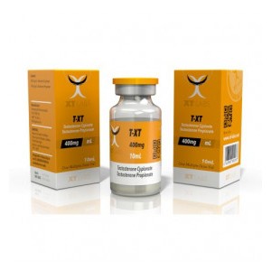 Txt 400 - XtLabs