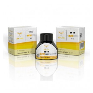 YK11 5 - XtLabs