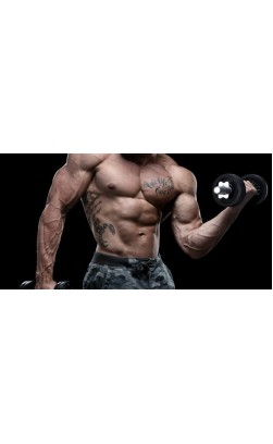 Steroids Guide for beginners