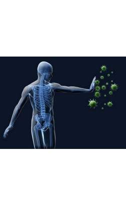 Bodybuilders Immunity Problems