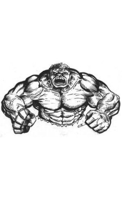 Do Steroids cause Roid Rage