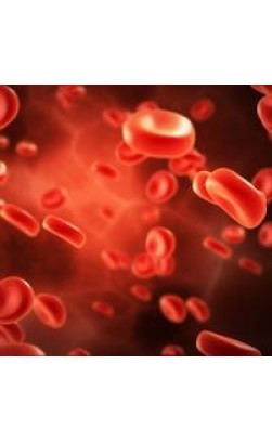 How are steroids produced in our body?