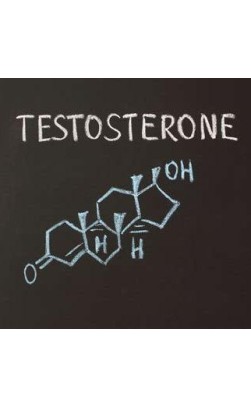 How to Increase Your Testosterone Levels Naturally?