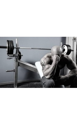 Low Testosterone Levels