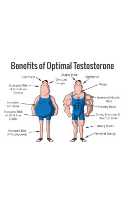 BASIC UNDERSTANDING OF NATURAL TESTOSTERONE