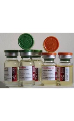 STEROID CYCLE