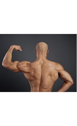 Steroids and Hair Loss