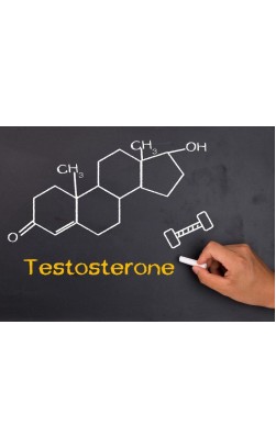 TESTOSTERONE