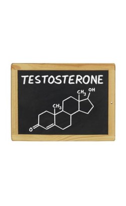 Top Benefits of Testosterone