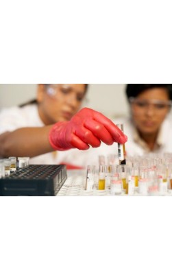 When Were Anabolic Steroids Discovered?