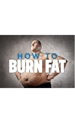 Which Steroids Burn Fat